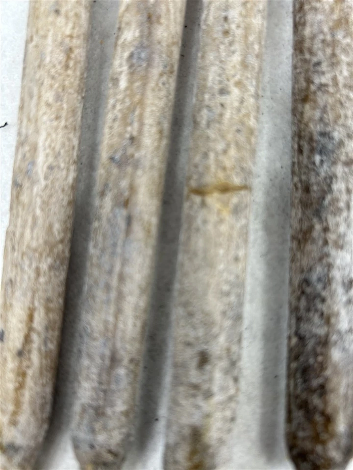 velas antiguas cera de abejas de sebo hechas a mano 6 piezas 10 en réplica siglo XVIII siglo XIX Foto 4 de 4