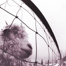 Pearl Jam - Vs. (30th Anniversary Edition) [New Vinyl LP] 45 Rpm, 180 Gram, Anni