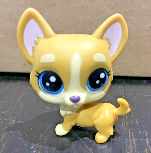 Figura de juguete de plástico para perro Corgi Littlest Pet Shop #B8395 61951 LPS Hasbro ojos de punto - Imagen 2 de 5