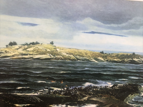 Andrew Wyeth "Little Caldwell's Island" - Matted Art Print-1940 - Picture 4 of 4
