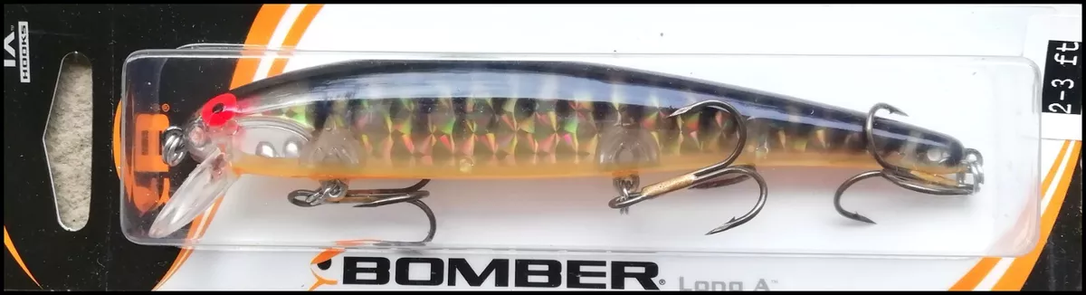 Bomber long 15a sale