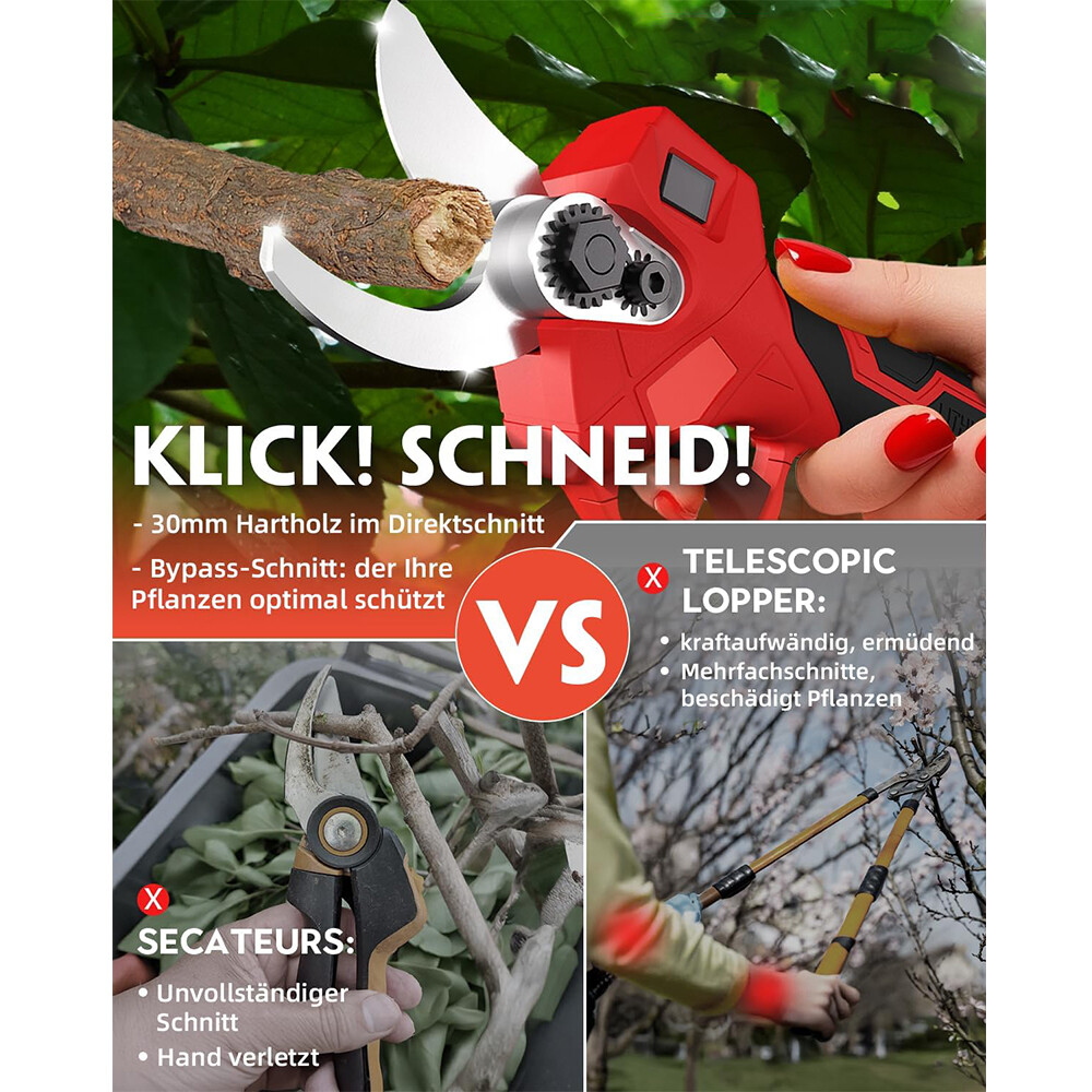 Bild 12 von 21