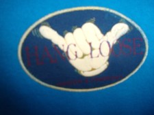 Hawaii Hang Loose blue L t shirt