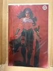 ABSOLUTE WONDER WOMAN #23 IVAN TALAVERA 616 Virgin FOIL Variant C LTD 1000
