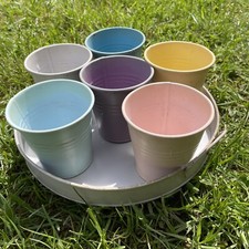 Pflanztöpfe mit Tablett aus Blech