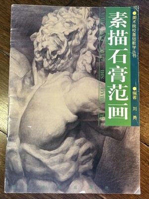 Art Illustrating Book Chinese SKETCHING PLASTER MODEL DRAWINGS Softcover