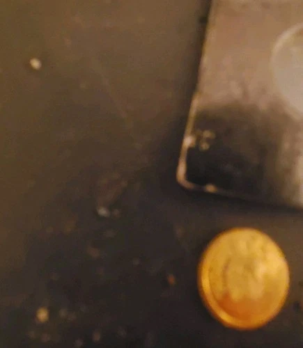 1879 Octagonal Liberty $1.00 MS California Fractional Gold Coin #One Dollar