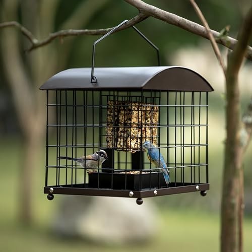 Caged Suet Feeders Squirrel-Proof, Dual-Purpose Suet &Seed Wild Bird Feeders - Picture 6 of 6