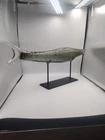 Vtg MCM Hand Blown Murano Art Glass Fish Sculpture Large 25" Long W/ Stand