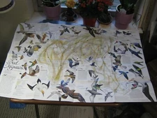 BIRD MIGRATION MAP EASTERN+ WESTERN HEMISPHERE National Geographic April 2004