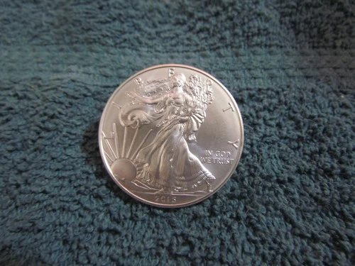 1 .999 Fine Silver 1 oz 2015 Walking Liberty  Eagle One Dollar Coin