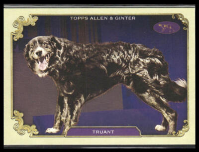 Truant #SOS-4 2024 Topps Allen Ginter Stars Of Show Westminster Kennel Club