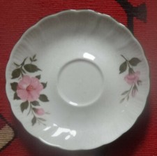 2) WINTERLING Kirchenlamitz Wildrose UNTERTELLER für Kaffeetassen ca. 15 cm 4x