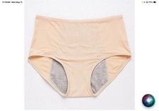 5 Pair  Women  s Washable Incontinence/Menstral Small Beige Leak Proof Briefs