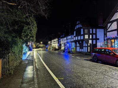 Foto 6x4 Weihnachtsbäume in Pembridge Es waren viele Weihnachtsbäume um 2020