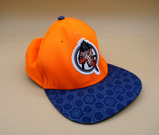 Dragon Ball Z Bird Studio Toei SnapBack Hat Blue Orange OSFM Goku Kamehameha