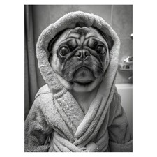 Pug in Robe Photography Poster Quirky Pet Wall Art Bathroom Decor