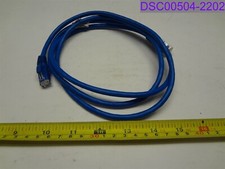 Used Blue 5' Length Cat 6 Patch Cable