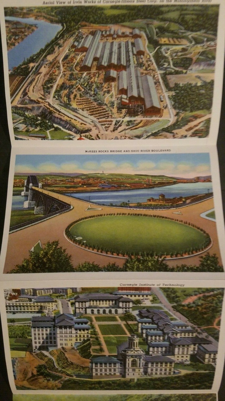 Picture 7 of 10
