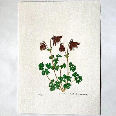 Shigezo Sukeda Paper Screen Print Miyama odamaki Wildflowers of Rebun ...