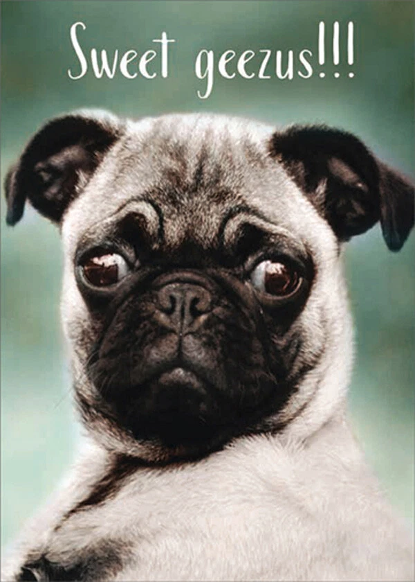 Pug sweet top