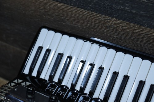 Hohner Atlantic IV DeLuxe with Kent Pick-Up 120-Bass Piano Accordion w/Case - Picture 18 of 24
