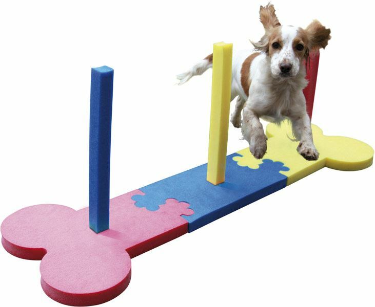 small dog agility