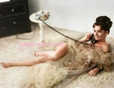 DAWN WELLS #135 MARYANN GILLIGANS ISLAND COLOR PHOTO 11 X 8.5 SHIPS FREE