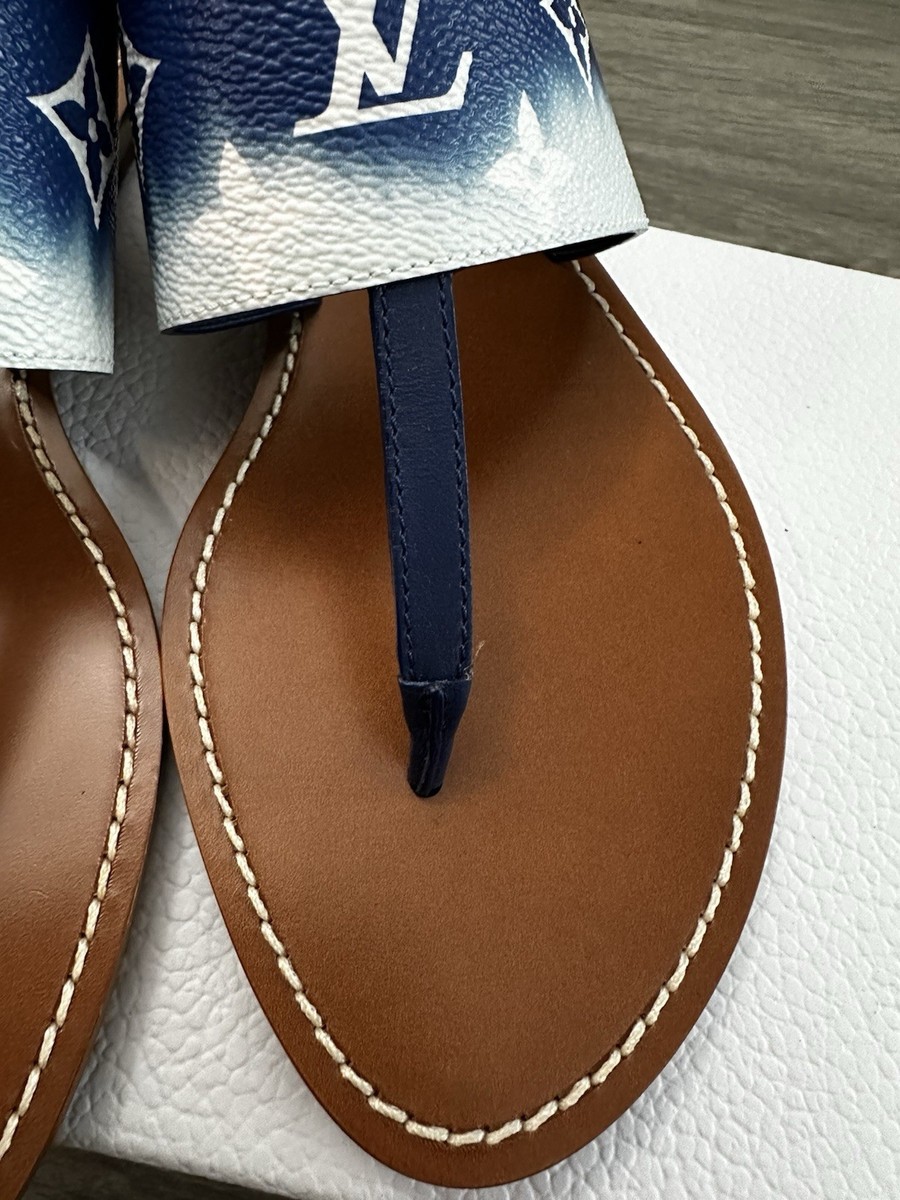 Louis Vuitton LV Monogram Escale Blue Thong Flat Sandals  display picture 1