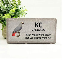 African Grey Memorial - Personalized Pet Memorial Stone -Bird Loss sympathy Gift