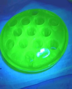 FLOWER FROG Vaseline Green Glass Footed  Large Heavy 13 Holes 4.5" GLOWS