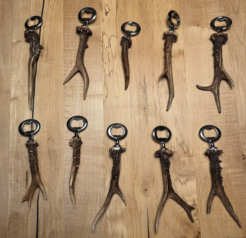 Flaschenöffner mit Geweih Abwurfstange Rehbock Hirschhorn Trophäe Gehörn - Bild 2 von 2