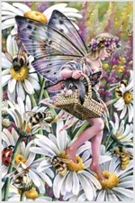 Special Delivery by Sheila Wolk Poster - 11.5" x 17.5" Laminated