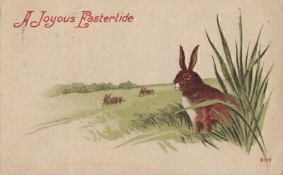 Easter Postcard A Joyous Eastertide Brown Rabbits Green Field 