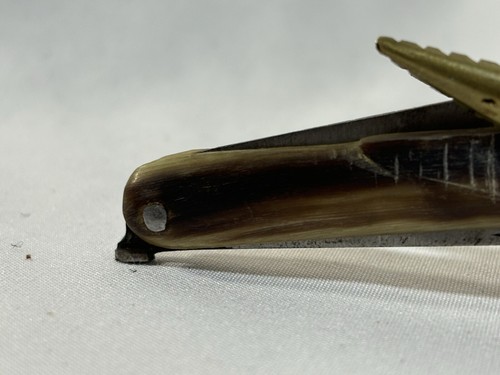 Vintage Lebanon Carved Horn Bird Pocket Knife 2 Blades - Picture 22 of 24