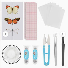 Butterfly taxidermy beginners setting kit with 10 papered butterflies