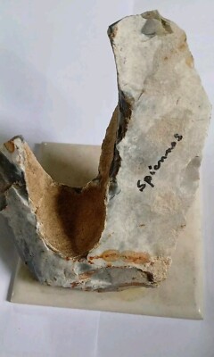 GROSSES NEOLITHISCHES FEUERSTEIN-WERKZEUG. STEINZEIT 5000-3000 v. Chr. 459g, 12cm