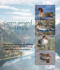Nevis 2021 - Ducks - Birds - Sheet of 4 Stamps - Scott #2018 - MNH