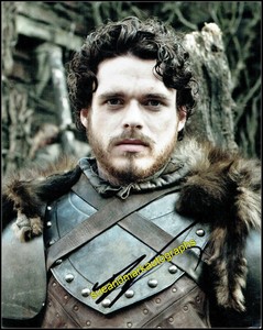 Richard Madden Game Of Thrones Rob Stark Red Wedding B Autograph