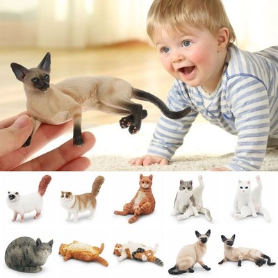 Siamesische Ragdoll Persische Katze Realistische Haustier figuren