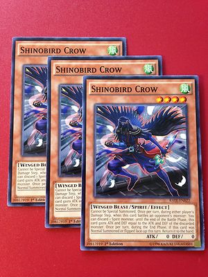 shinobird deck yugioh Crane | Yu-Gi-Oh! Wiki My Shinobird Yugioh Deck Profile