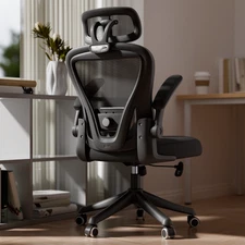Ergonomic Office Chair High Back Computer Chair with Adjustable Lumbar Support