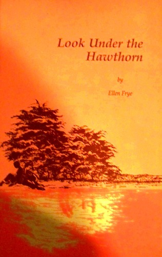 LOOK UNDER THE HAWTHORN by Ellen Frye - FIRST EDITION Lesbian Book 1987 - Picture 1 of 1