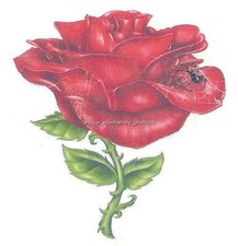 RED ROSE REALLY COOL SPIDER AND WEB Temporary Tattoo SEE DESCRIPTION FOR SIZE