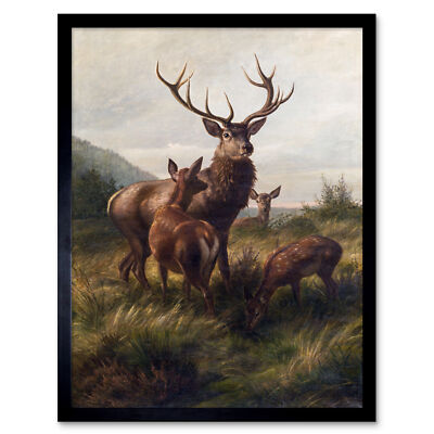 Deiker Hirsch Reh Geweih Reh Tier Natur Gemälde Kunstdruck gerahmt 12x16
