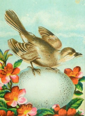 Dunbar & Gahl Bakers, Brown Bread Every Sunday Morning Egg Bird Trade Card &R