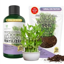 Lucky Bamboo Care Bundle – 2.2QT Soil + 8oz Liquid