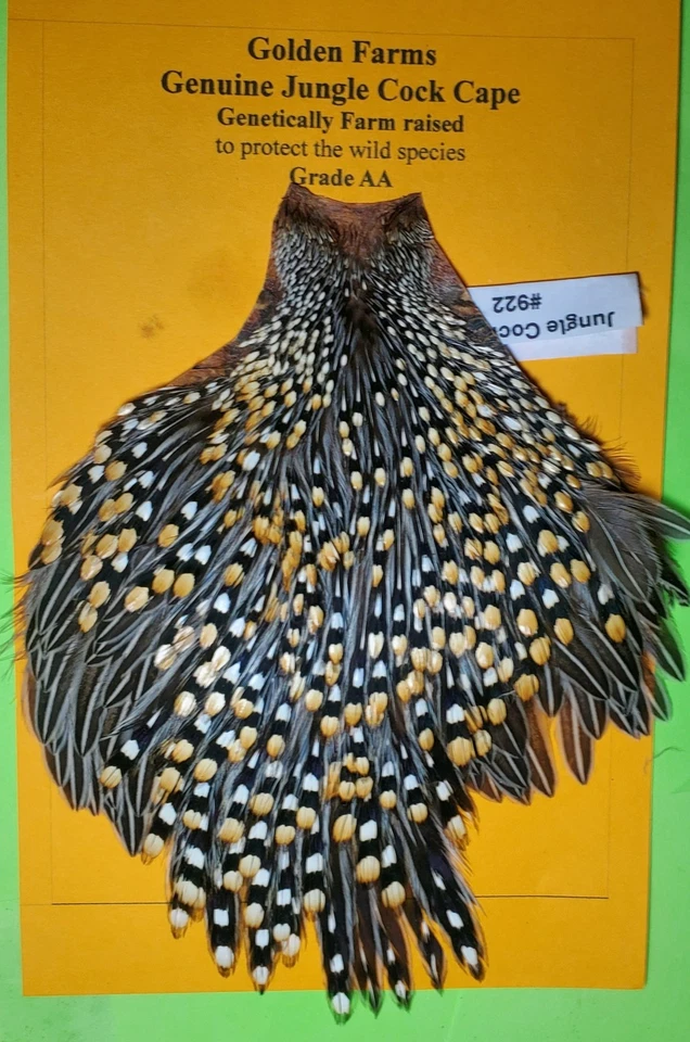 Jungle Cock Cape  AA 922   USA Only  - Image 4 of 4
