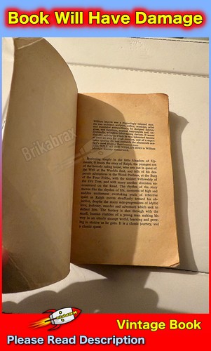 The Well At The World's End Vol 1 by William Morris ( Ballantine Books 1971 ) - Imagen 6 de 11