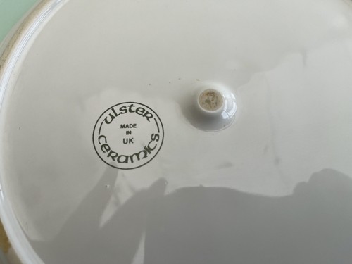VINTAGE ULSTER CERAMICS PLATE VIOLA ODORATA - GREAT CONDITION - Picture 5 of 5